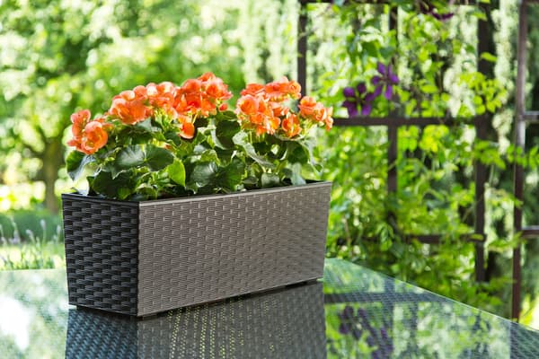 KADAX Urtepotte Balkonkasse med Indsats Blomsterstativ til Balustrade 19x56cm