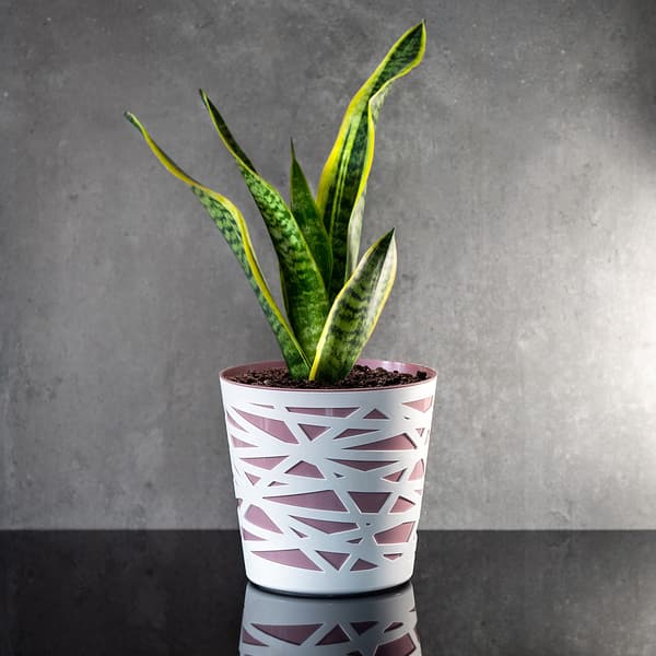 KADAX Urtepotte Plastik Lågindsats til Blomster og Planter 13cm Pink