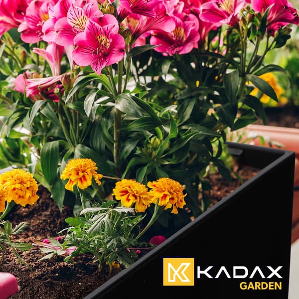 KADAX Urtepotte Balkonkasse med Indsats Blomsterfod Sort Gloss 19x56cm