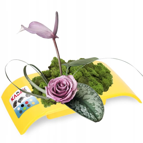 KADAX Urtepotteskjuler til Kompositioner til Dekorationer Ikebana Base Gul