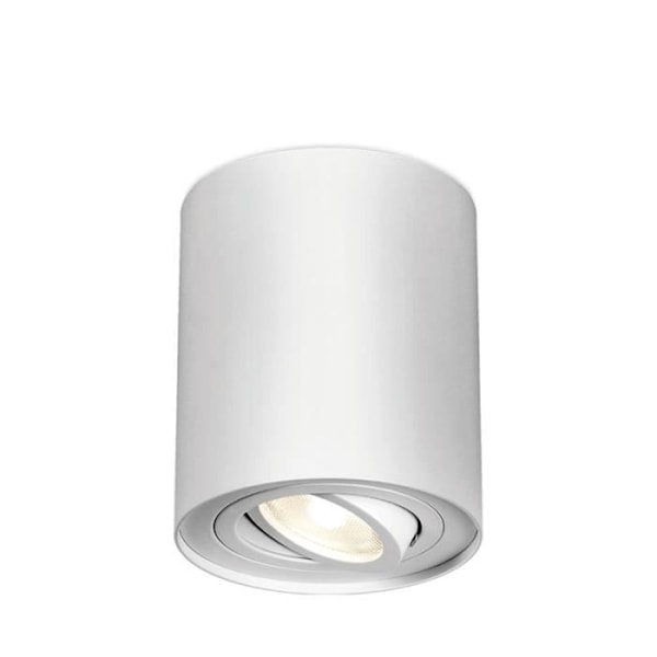 Alumiininen kattovalaisin GAMA-8010A pyöreä GU10 35W Valkoinen Vit