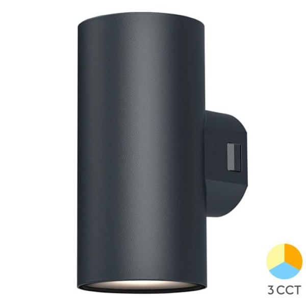 Vägglampa utomhus VEKTA-D2 svart 2x9W 3in1 IP65 Svart
