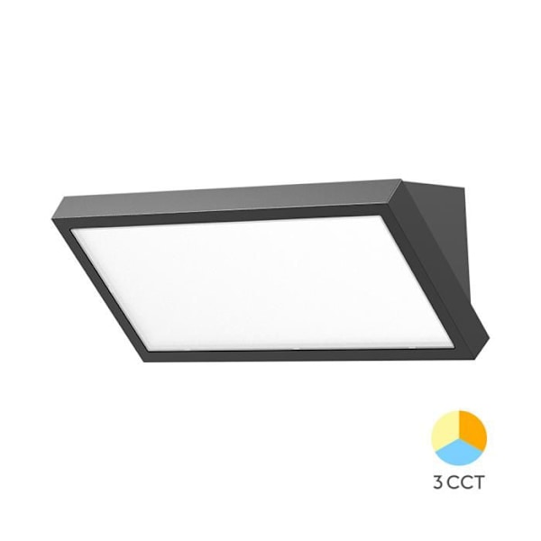 Braytron 20W 2000lm 3-i-1 Utomhus LED-applikation Svart IP65 Svart
