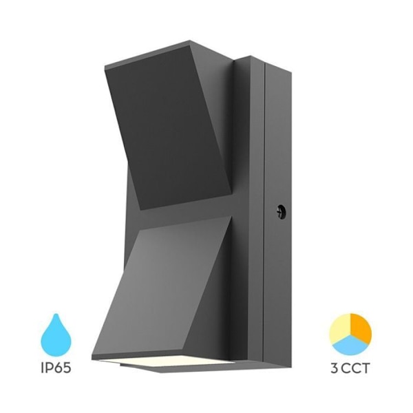 Väggmonterad LED-utomhuslampa 2x6W 3-i-1 IP65 Grå Grå