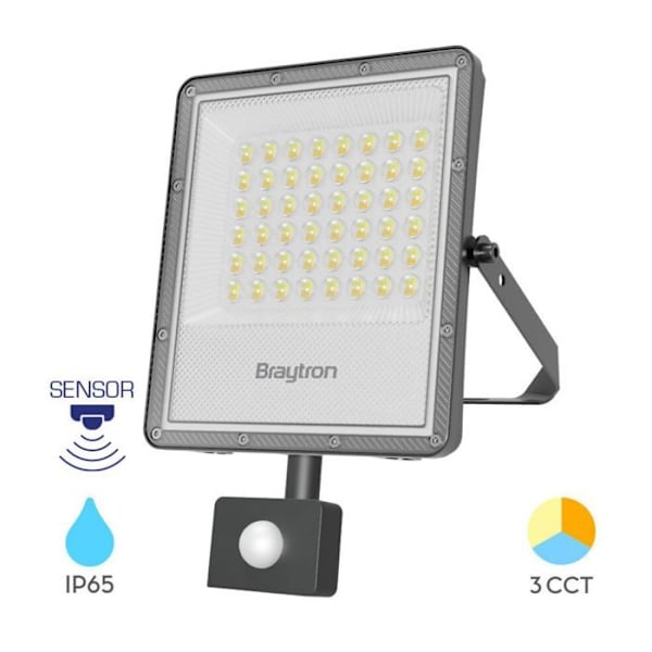LED-projektor 50W 5500lm IP65 med rörelsedetektor – Grå Grå