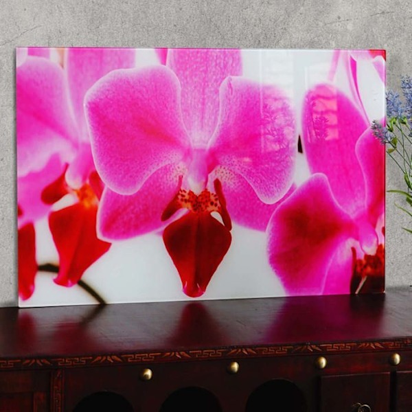 Glasbild väggaffisch 40 by 60 motiv orkidé