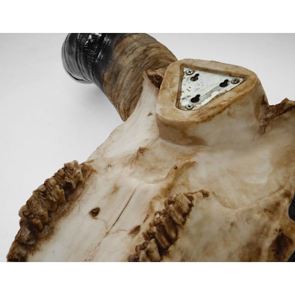 Tête av tjur väggdekoration 45cm trofé longhorn i polyresin inomhus/utomhus naturlig 04_0002848 Guld