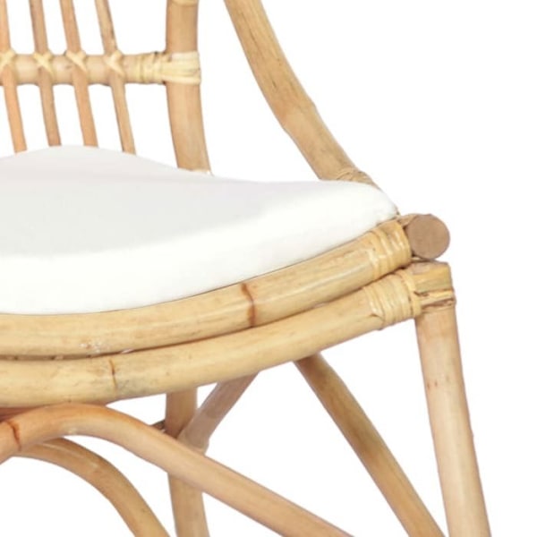 Loungefåtölj i rustik design av rotting med vit kudde DEC026793 Vit