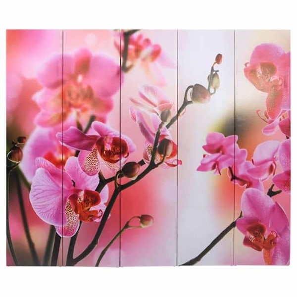 Skärmvägg rumseparetor hopfällbar 200 x 170 cm mönster blommor i flera färger DEC031170 Flerfärgad