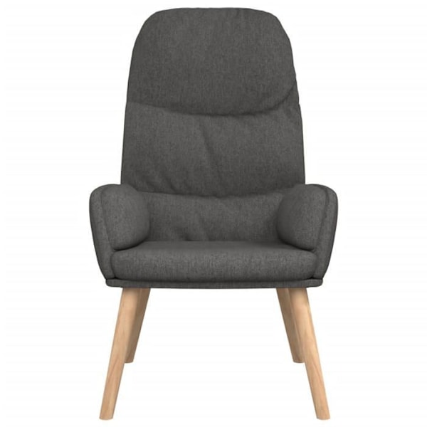 Lounge stolen sofa chambre design moderne i mørkegrå stof DEC026690 Grå
