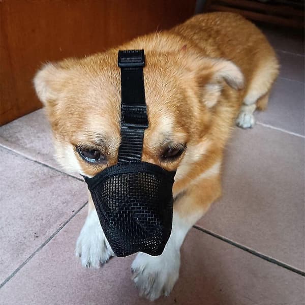 BlackMBreathable Anti-Biting Chewing Licking Pet Muzzle Hundmunkorg Anti-lick