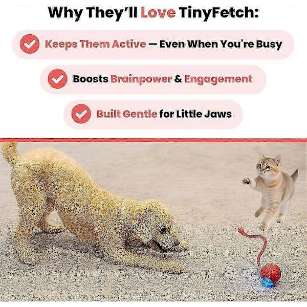 Liten Apport Hundleksak, Tinyfetch Interaktiva Hundleksaker Kattbollar, Snabbt Rörlig Boll Blue