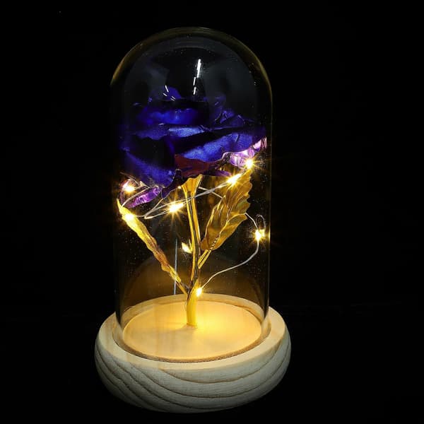 LED Blomsterlampor Konserverad Ros Romantisk Stil Jubileumspresent 1Set