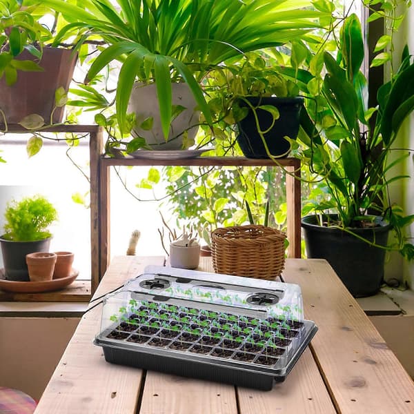80 Cellers Såbricka Startkit, Fuktkupol Växtfröplanta Startkit