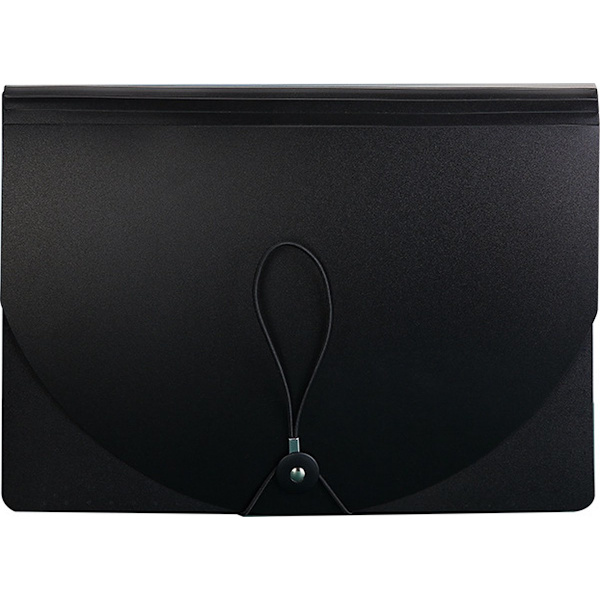 Document Folder - A4 - Fireproof Fan Folder - Writing Folder A4 - 25 Compartments - Document Folder - Transparent Plastic Folder for Paper Storage