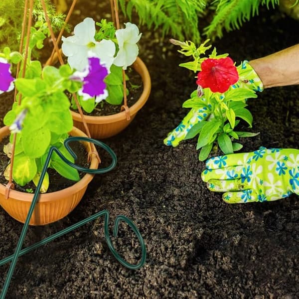 Set med 10 metallväxtstöd, blomstöd för robusta trädgårdsväxter för amaryllis, liljor, pion, vit papper, orkidéer
