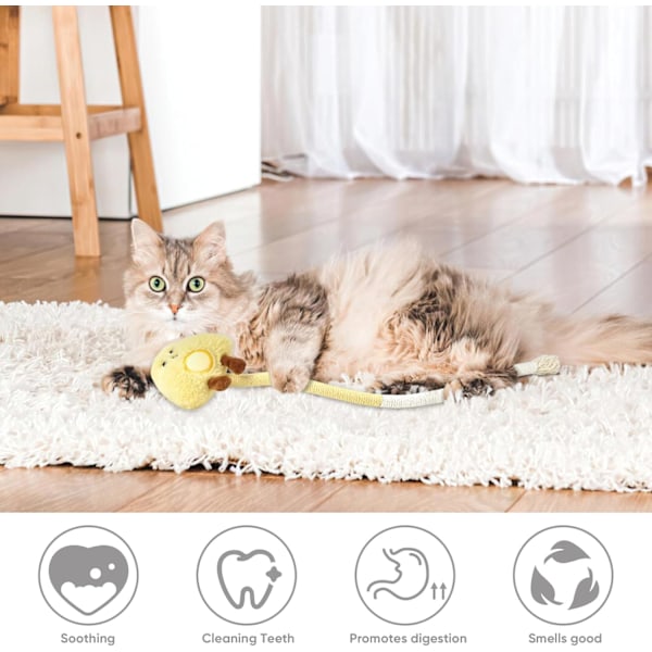 2-pack tuggleksak för katter, tuggtålig och bitresistent, med kattmynta, för innekatter, säker tandborstning, leksak för kattungar 50 cm, alla raser