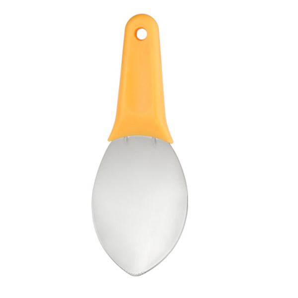 Mango Cutter Cutting Tool, Mango Peeler and Slicer