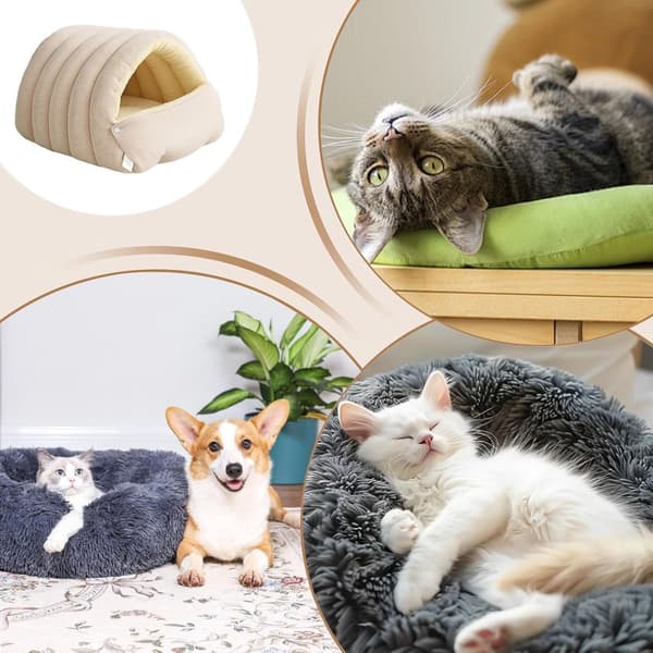 Kattkorg - Katthus - Kattsäng - Valpbäddsgrotta - Boformad bur - Stängd korg - Inomhus - Utomhus - Sovrum -