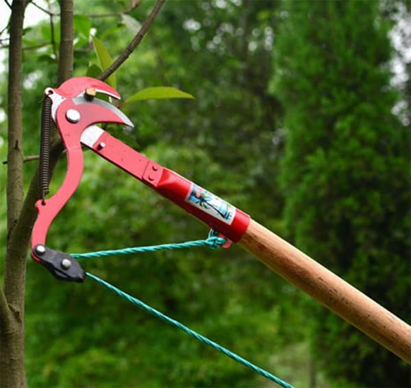 Telescopic Fruit Picker Telescopic Garden Shears Telescopic Branch Cutter Pole Pruner Telescopic Pruning Saw Secateurs