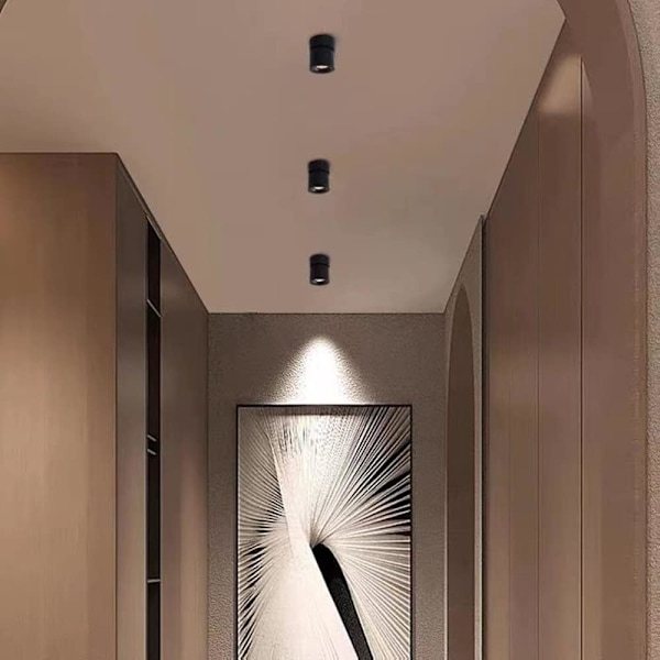 Dæmpbar LED Loftspot Indendørs Kunstlys Billedlys Downlight Retningsbestemt Loftlampe 12W 960LM (Sort)