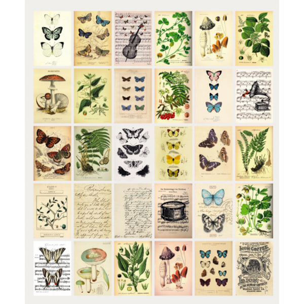 Postkortsett: 30 Vintage-inspirerte Botaniske, Natur og Døgnflue