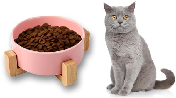 Keramisk katteskål - Forhøjet med stativ - Velegnet til små hunde, små hunde kattefoder- og vandskål - Ant Pink S