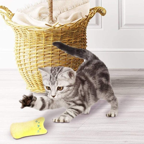 Kattmynta Leksaker, Interaktiva Plyschleksaker för Katter, 5 st Kattmynta Tuggleksaker
