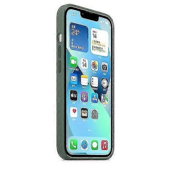 Silikonskal med Magsafe för iPhone 13 Mobilskal{HH} Eucalyptus