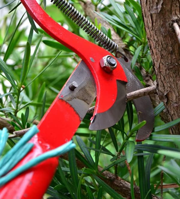 Telescopic Fruit Picker Telescopic Garden Shears Telescopic Branch Cutter Pole Pruner Telescopic Pruning Saw Secateurs