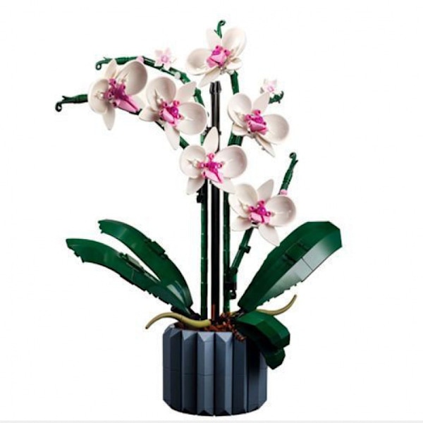 Rakennuspalikat Kukat Säilötyt kukat Ruusut Ystävänpäivälahja Kimppu Kokoamislelut 17 kinds of building block flowers