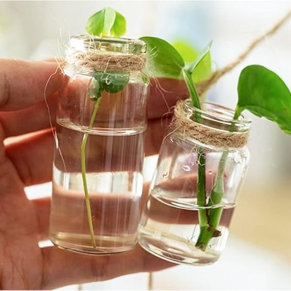 Väggmonterad Planteringskruka, Vindspelsstil Dekor Glasvas med Linnerep Blomkruka Hängande Glas för Hydroponiska Växter Hem Trädgård Dekor (4 * 2cm)