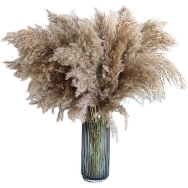 Pampasgræs, 20 stk., 60 cm, naturligt tørret, bryllup, trendy buket, kunstige blomster, til indretning, indvendige vaser