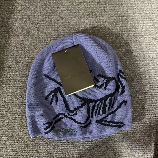 ARC'TERYX Miesten Hat Casual Lämmin Talvi Hiihtohattu Blue