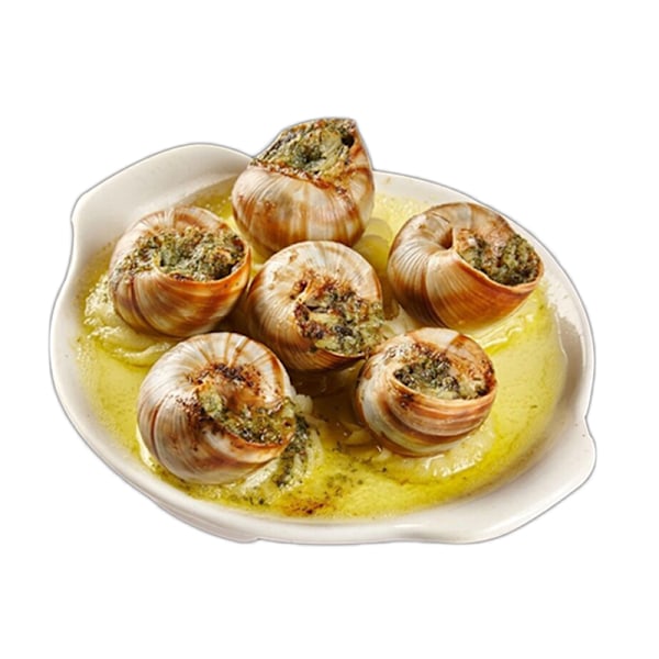 1 st Escargot-tallrik Keramisk Snigeltallrik Conch Bakplåt Köksredskap{hh]
