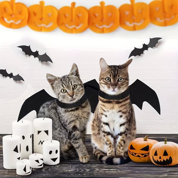 Justerbart flagermusvingekostume til katte og små hunde Blød polyester flagermuskappe til Halloweenfester Black M