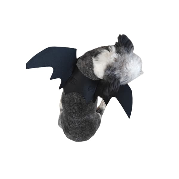 Justerbart flagermusvingekostume til katte og små hunde Blød polyester flagermuskappe til Halloweenfester Black M
