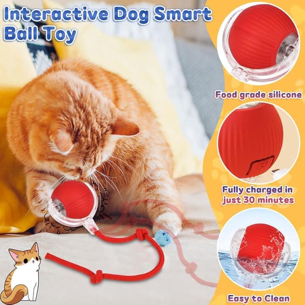 1 pc. 360 Smart Automatic Rolling Pet Ball, Rechargeable Irregular Movement for Cats & Dogs, Red red 1 red