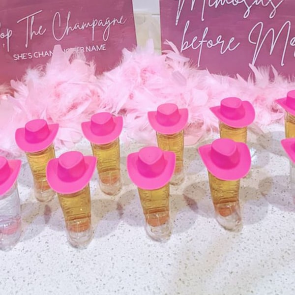 20 st Mini Cowboyhattar Möhippa ROSA X 20 st ROSA X