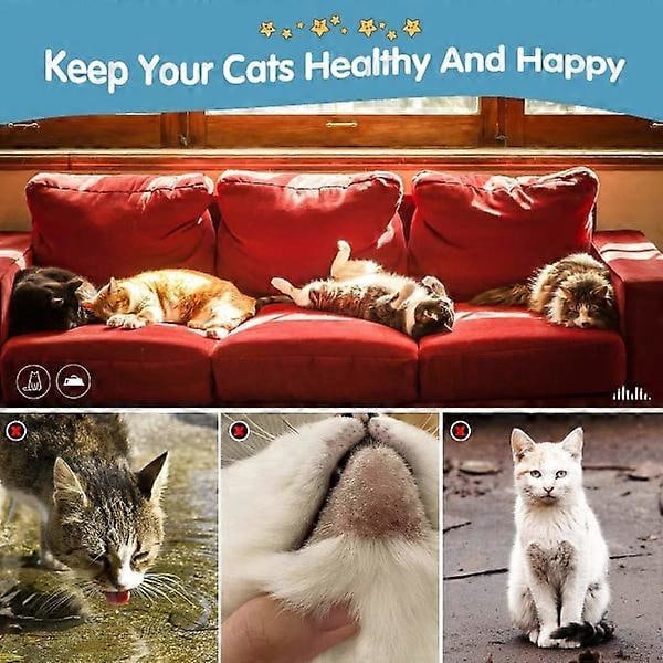 Katt Vattenfontän, 2L Rostfri Stål Husdjursdricksfontän, med Justerbart Vattenflöde och Anti-Torrkokningsfunktion{hh}