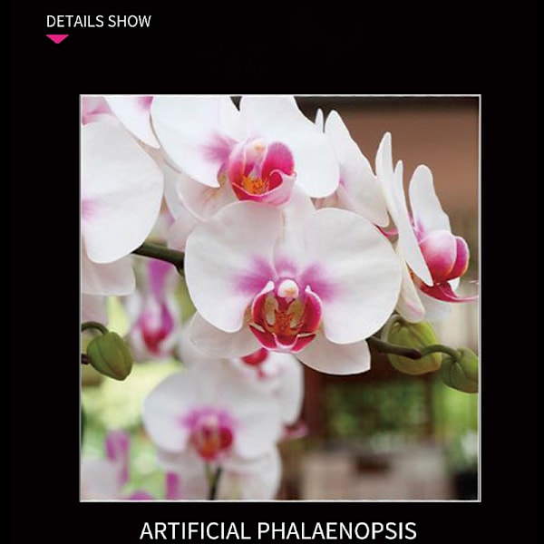 Rakennuspalikat Orkidea Phalaenopsis Kimppu Bonsai Tyttö Kokoa Koulutuslelu Lahja bouquet