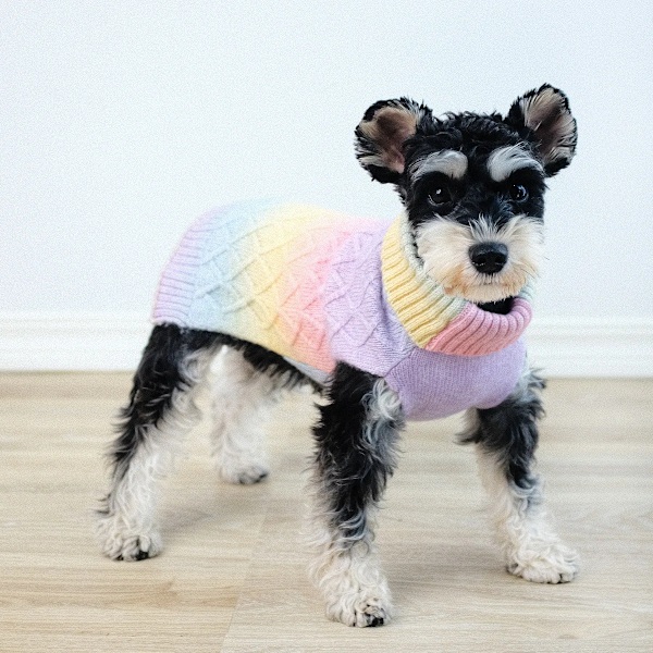 Hunde Vintertøj Gradient Regnbue Varmt Hundetrøjer til Lille Hund Kat Høj Krave Vindtæt Twisted Strikket Hvalpe Trøje Frakke gradient regnbue gradient rainbow XL