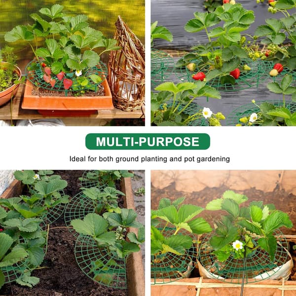 10-pack Strawberry Supports, Round Strawberry Stands, Keeps Strawberry Plants Clean