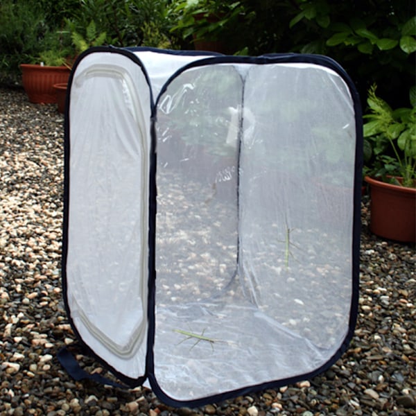 Sommerfuglebur, foldbart insektbur{HH} 40*60cm