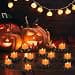 Halloween LED flammeløse telys, 4 flammeløse edderkopplys, fl