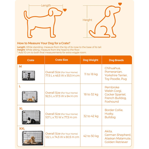Rootz Iron Wire Dog Crate - Djurbur - Valphägn - Träningskennel - Järntrådskonstruktion - ABS-plast - 122cm x 81cm x 76cm