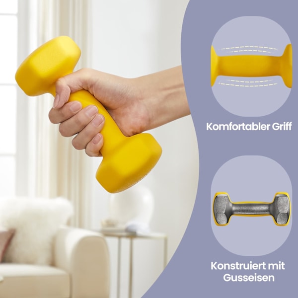 Rootz Dumbell Set - Free Wights - Träningsvikter - Rymdbesparande styrketräning - 2 x 1 kg - Gjutjärn med vinylbeläggning