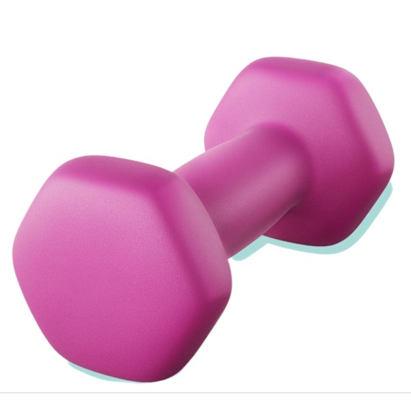 Rootz hanteluppsättning - Neoprenbelagda vikter - Fitnessvikter - Slip -resistent - 13,5 x 6,5 cm