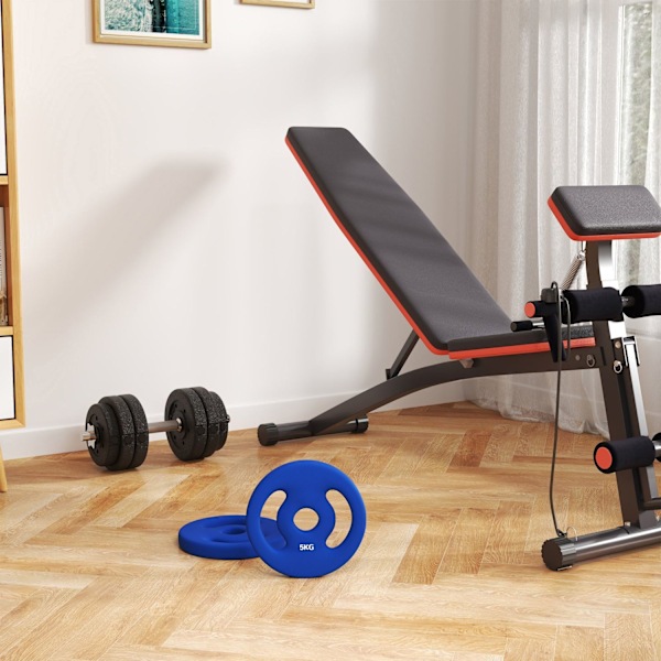 Rootz 2 x 5 kg Vægtplader - Vægtsæt - Home Gymplader - Holdbar plast - Ø20CM X 4CM - Ideel til styrketræning