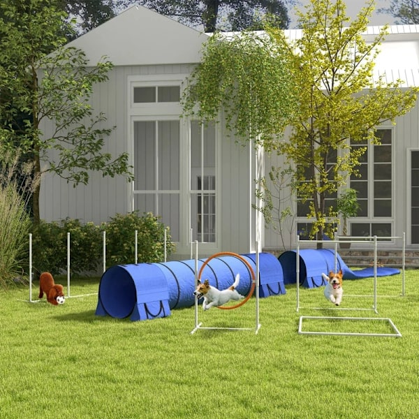 Rootz Dog Agility Set - 1 Hoop - Hundbana - 2 tunnlar - 2 häck - U-formad Ground Spike - Bärväska - Plast-ABS-oxford - Vit-orange-blå - 321 cm x 63c m
